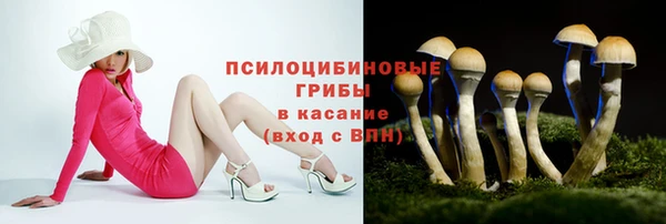 сатива Михайлов