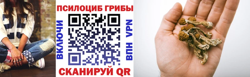 Псилоцибиновые грибы MAGIC MUSHROOMS  купить   Сухой Лог 