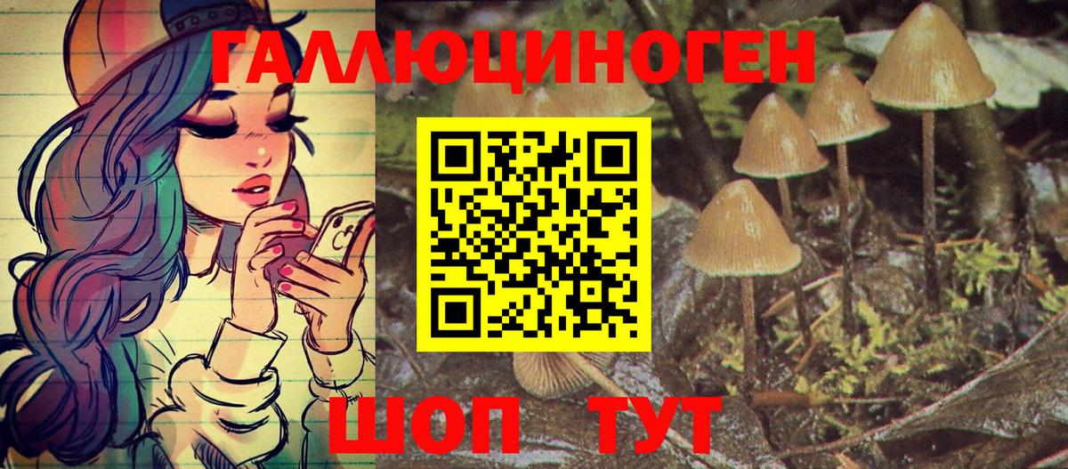 Псилоцибиновые грибы мухоморы  Галлюциногенные грибы Psilocybine cubensis  Сухой Лог  Вход с VPN 