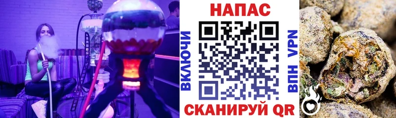 Бошки Шишки план Сухой Лог